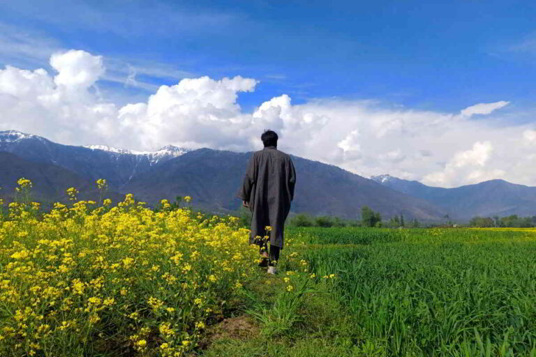 अब कोई भी जम्मू और कश्मीर में खरीद सकता है जमीन: केंद्र ने कानून को किया अधिसूचित