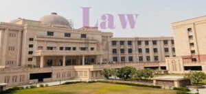 Lucknow HC Nov 2020 1