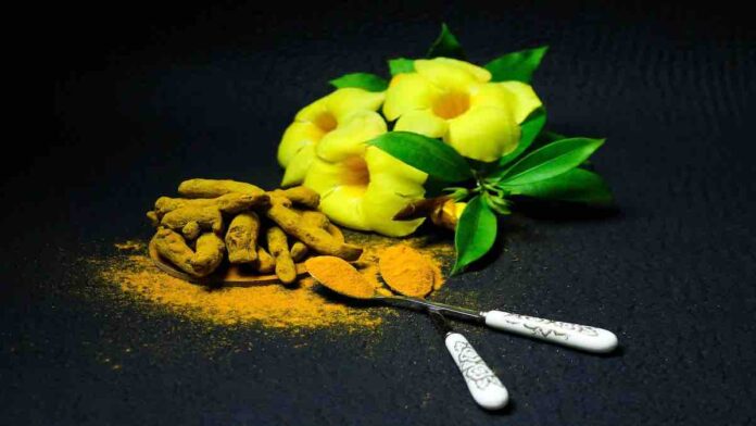 High Court Allows Ayurvedic Treatment for COVID19 Patients