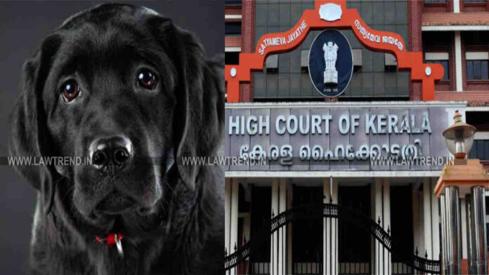 Kerala HC Pays Tribute to “Bruno” Dog by Renaming Suo Motu Case as “In Re Bruno”