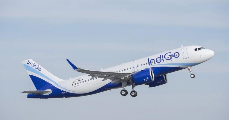 indigo