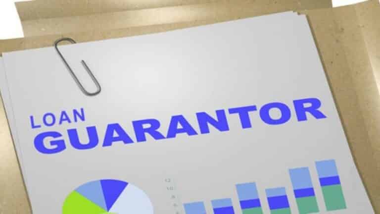 loan guarantor