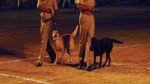 police sniffer dog