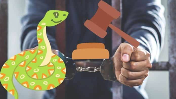 snakebite accused jail