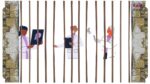 doctors in jail