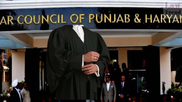 lawyer-punjab haryana bar council