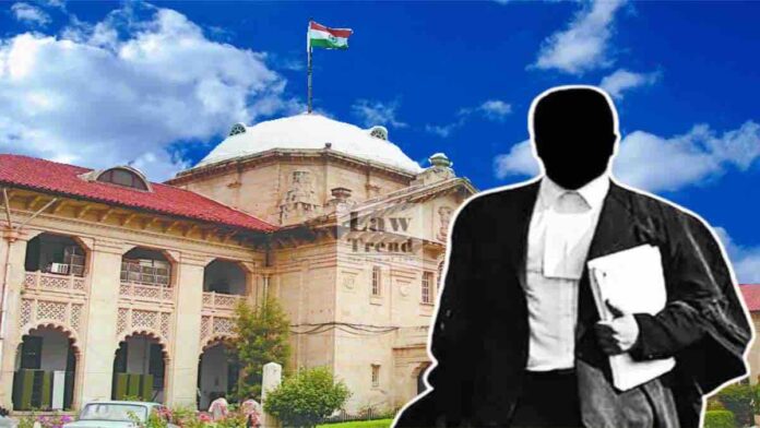 Allahabad HC CSC AAG Lawyer