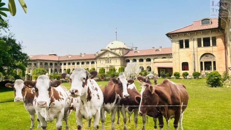 Allahabad hc cow