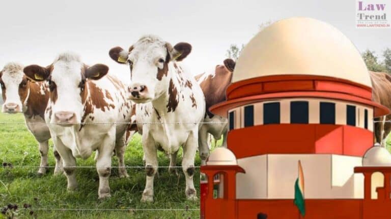 cow-supreme court