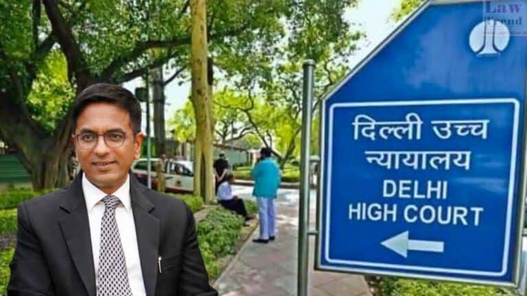 delhi hc-dy chandrachud