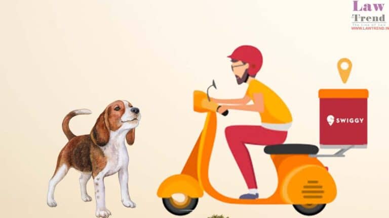 swiggy-dog