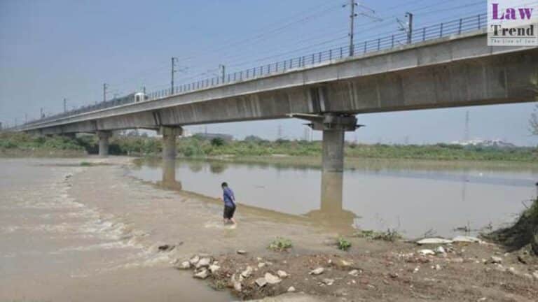 yamuna river bank