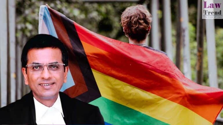 cji chandrachud-lgbt