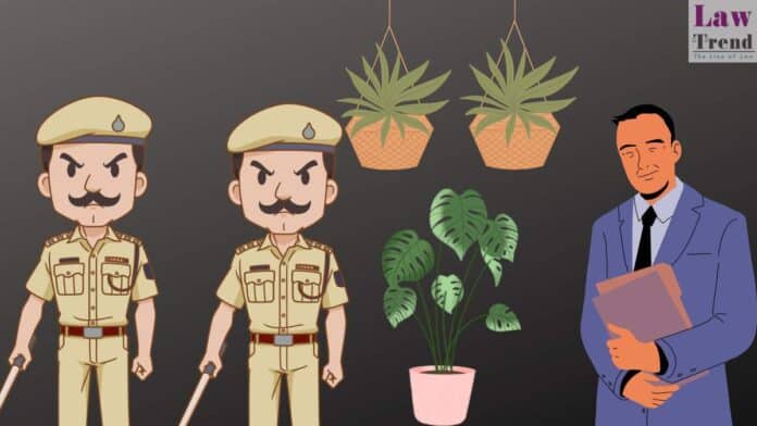 police-lawyer-plants