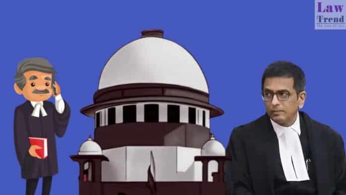 cji chandrachud-lawyer using phone in courtroom