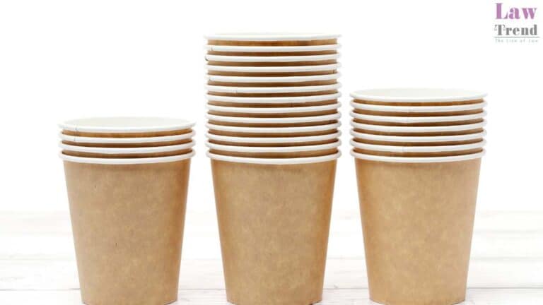 paper cup
