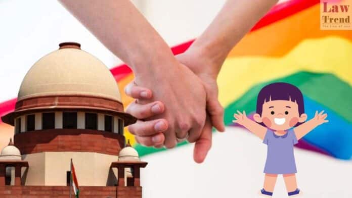 same sex marriage -child adoption