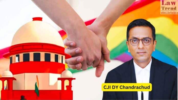 same sex marriage-cji dy chandrachud