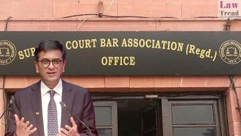 scba-cji chandrachud