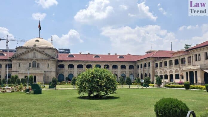 allahabad high court