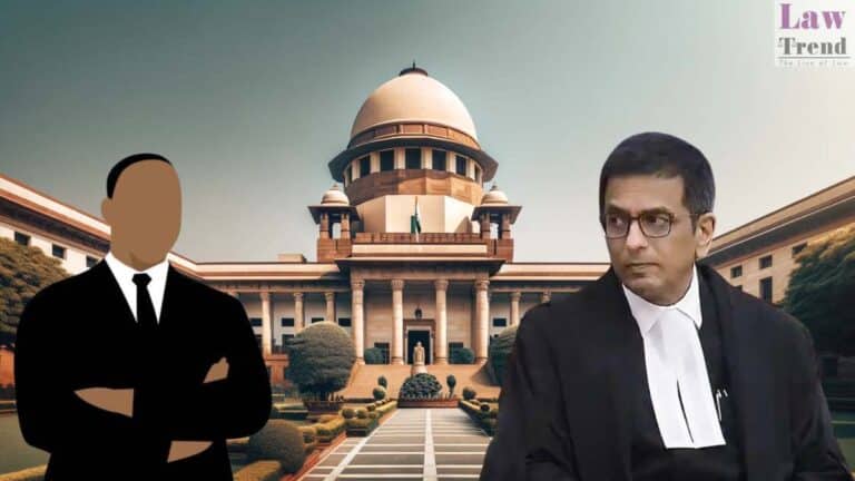 cji chandrachud-lawyer