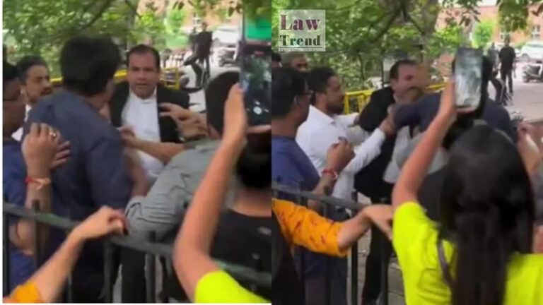 lawyer-slap-dog-lover